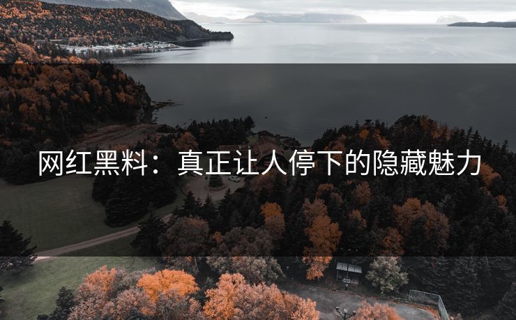 网红黑料：真正让人停下的隐藏魅力
