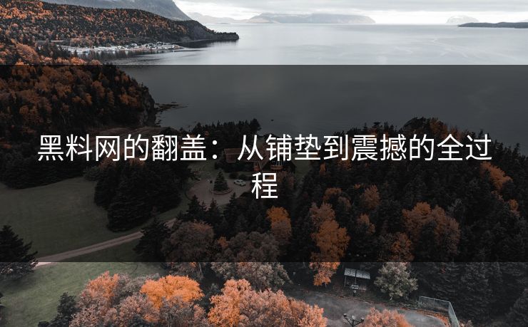 黑料网的翻盖：从铺垫到震撼的全过程