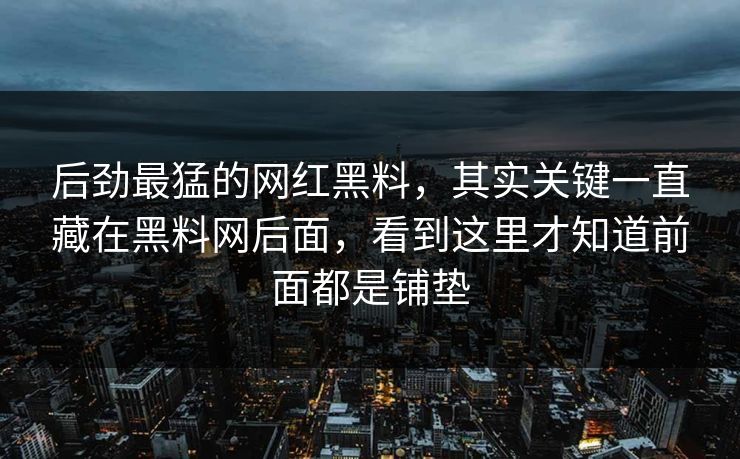后劲最猛的网红黑料，其实关键一直藏在黑料网后面，看到这里才知道前面都是铺垫