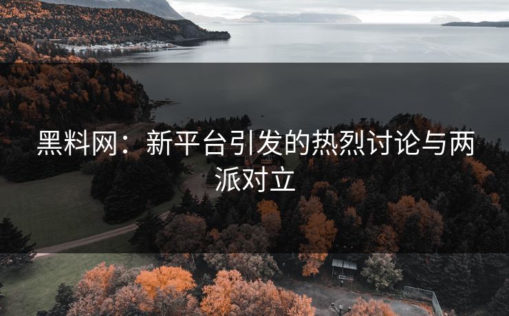 黑料网：新平台引发的热烈讨论与两派对立