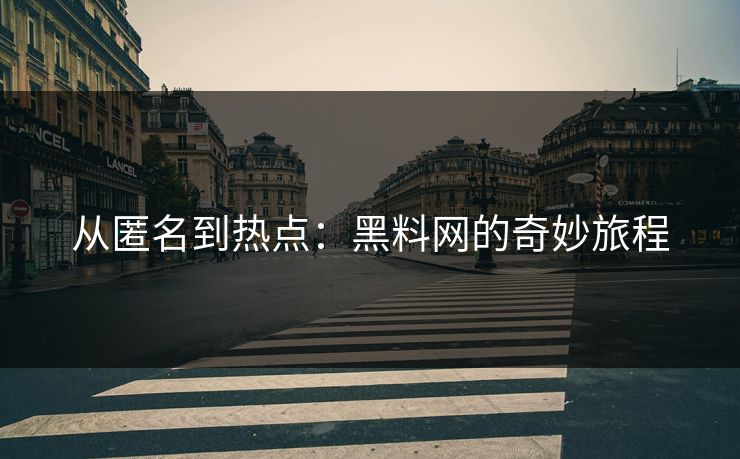 从匿名到热点：黑料网的奇妙旅程