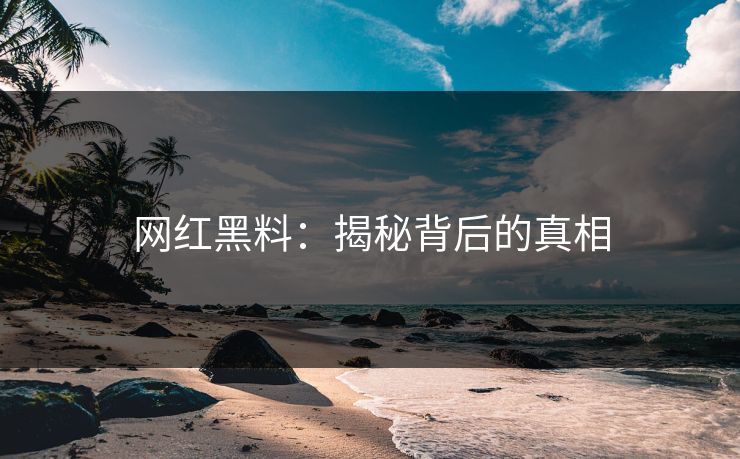 网红黑料：揭秘背后的真相